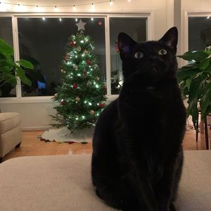 Meet your Posher, Monica